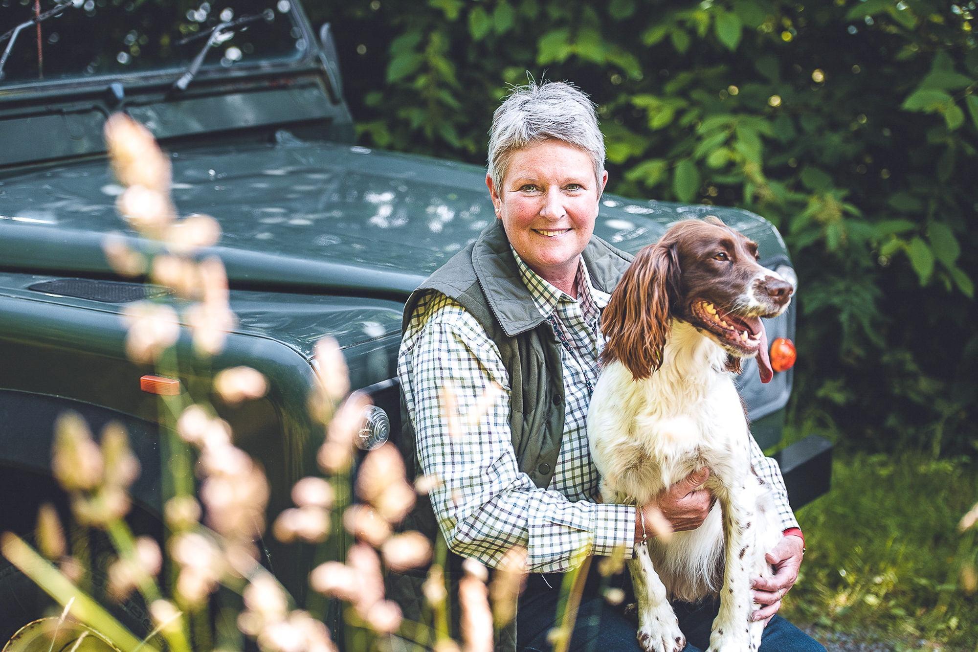 Pet sitting in Shropshire