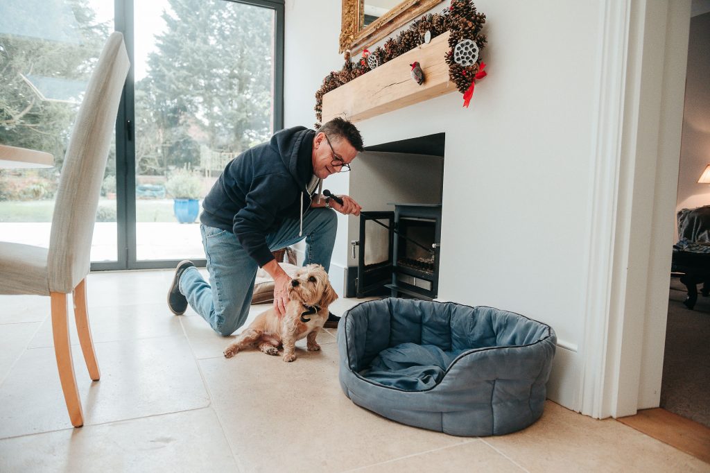 Why Choose Us for Your Home Pet Sitting