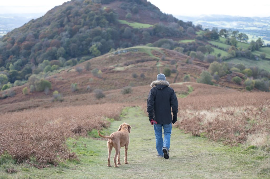 Man walking dog on Shropshire hills